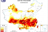 干旱天氣對全球主要農(nóng)產(chǎn)品的影響